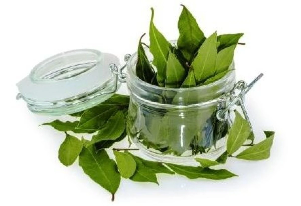 Proč lékaři drží tento jednoduchý recept v tajnosti? Zde je návod, jak se zbavit hallux zcela přirozeně!