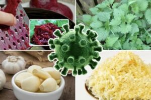 12 přírodních zdrojů vitaminů a antibiotik, na které pomalu zapomínáme + RECEPTY