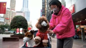 Koronovirus! Domácí zvířata jsou náchylná ke infekci: Jak chránit sebe a svého domácího mazlíčka