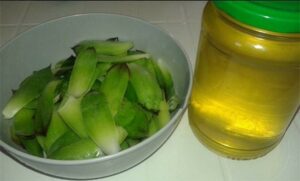 Úžasný netřesk střešní přinese do domu a domácnosti spoustu energie