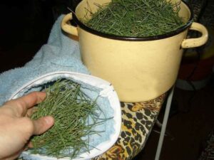 S tímto velmi jednoduchým, ale účinným receptem zapomenete na vysoký krevní tlak.