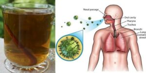 Moje babička ze Slovenska mi poradila pít tento čaj, který pomůže vašemu tělu vyloučit všechny toxiny.