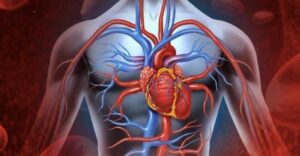 Jak rychle snížit krevní tlak bez léků a jejich vedlejších účinků