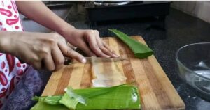 Aloe vera léčí téměř vše: Ušetřete peníze za léky i kosmetiku