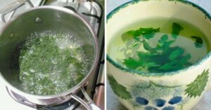 Osvědčený léčivý čaj, díky kterému vyčistíte svá střeva a dostanete z něj 5kg za 2 dny.