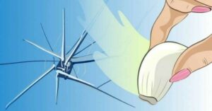 Několik možností jak využít česnek ve vaší domácnosti. A ano, i naprasklé okna!