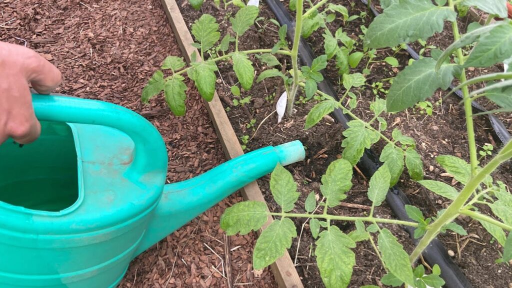 P stov n IRecept P stov n IRecept