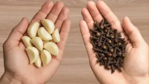 Česnek a hřebíček proti škůdcům: Co tenhle domácí trik opravdu umí a jak ho použít bezpečně