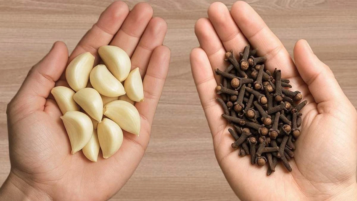 Česnek a hřebíček proti škůdcům: Co tenhle domácí trik opravdu umí a jak ho použít bezpečně