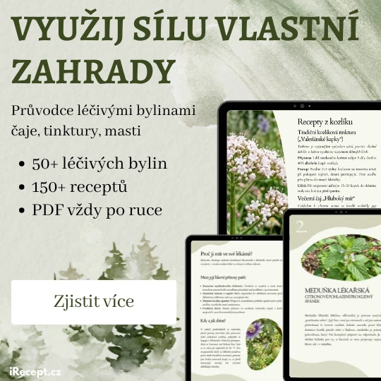 Bylinkové herbáře