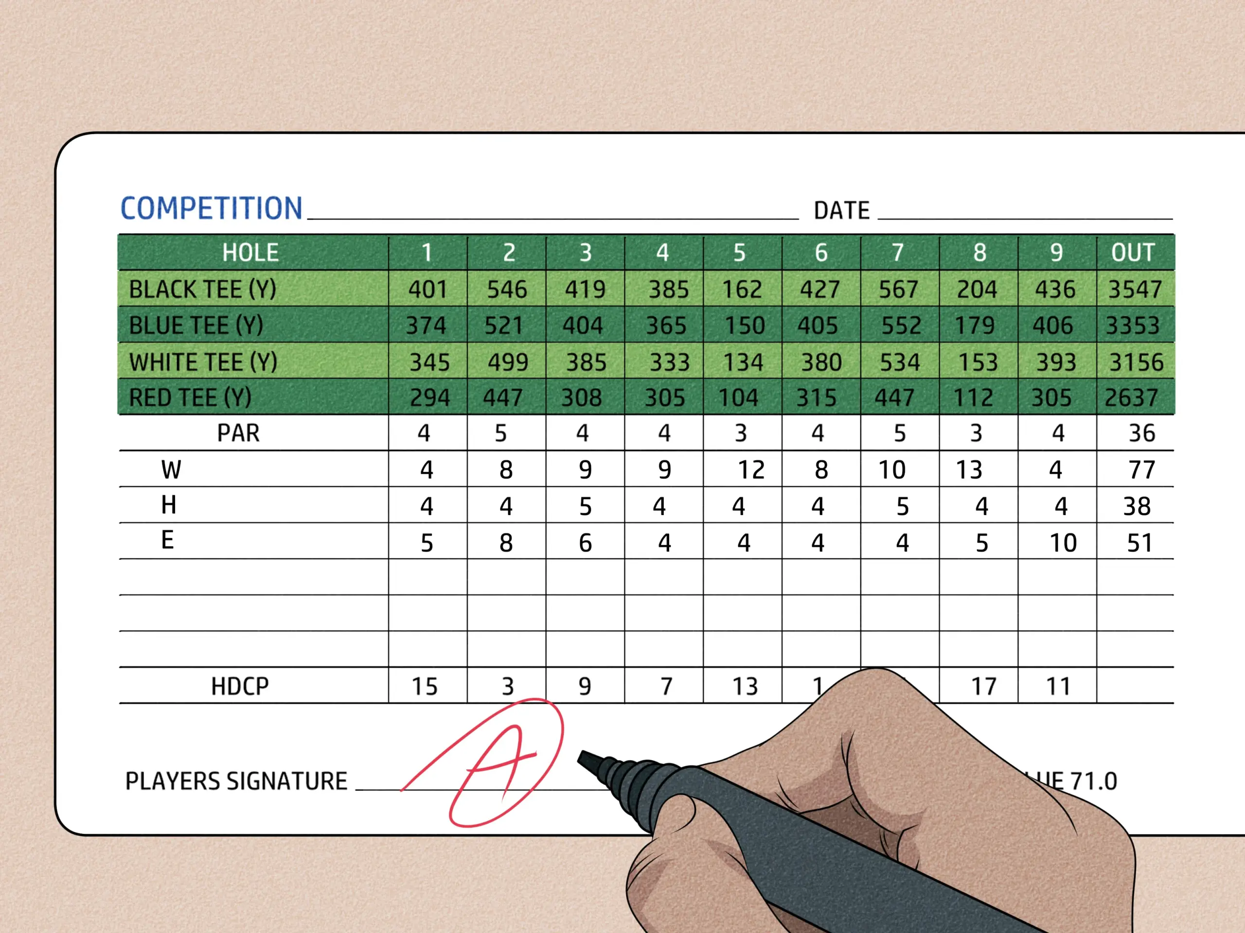 Základy golfu pro začátečníky: Vše, co potřebujete vědět, než poprvé vyrazíte na hřiště