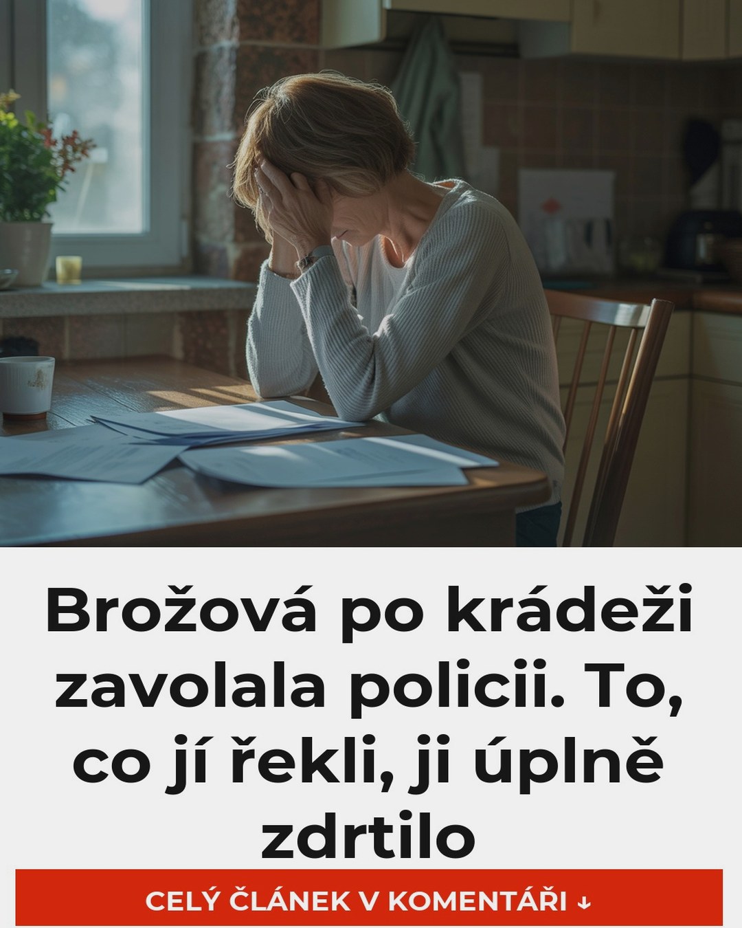 Brožová po krádeži zavolala policii. To, co jí řekli, ji úplně zdrtilo