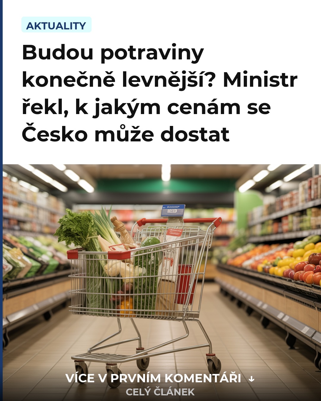 Budou potraviny konečně levnější? Ministr řekl, k jakým cenám se Česko může dostat