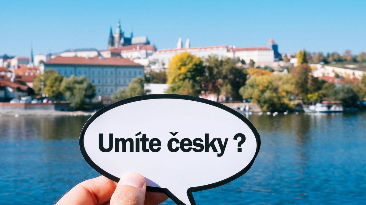 Kvíz z češtiny – větné členy a vedlejší věty
