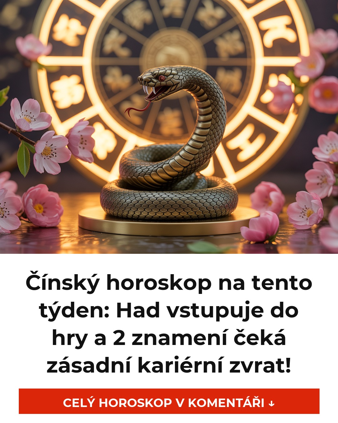 Čínský horoskop na tento týden: Had vstupuje do hry a 2 znamení čeká zásadní kariérní zvrat!