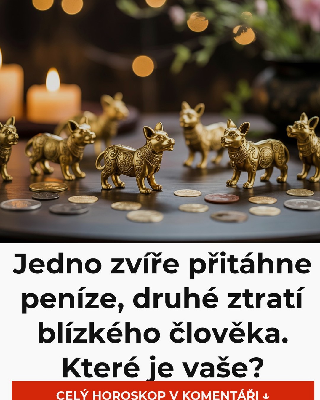 Jedno zvíře přitáhne peníze, druhé ztratí blízkého člověka. Které je vaše?