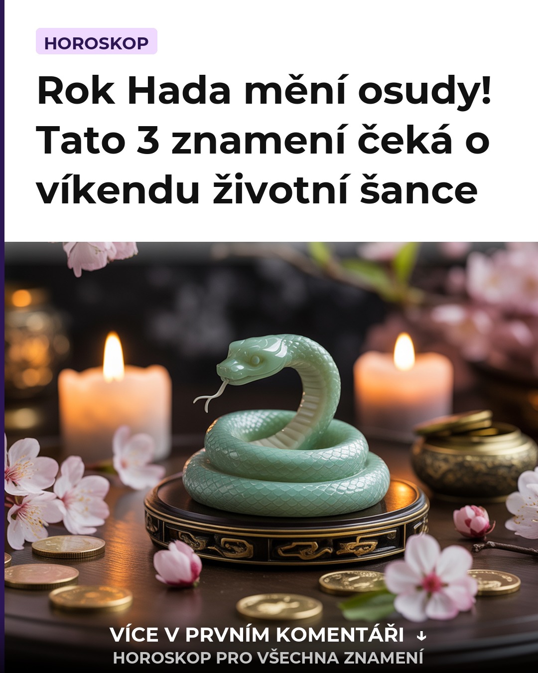 Rok Hada mění osudy! Tato 3 znamení čeká o víkendu životní šance
