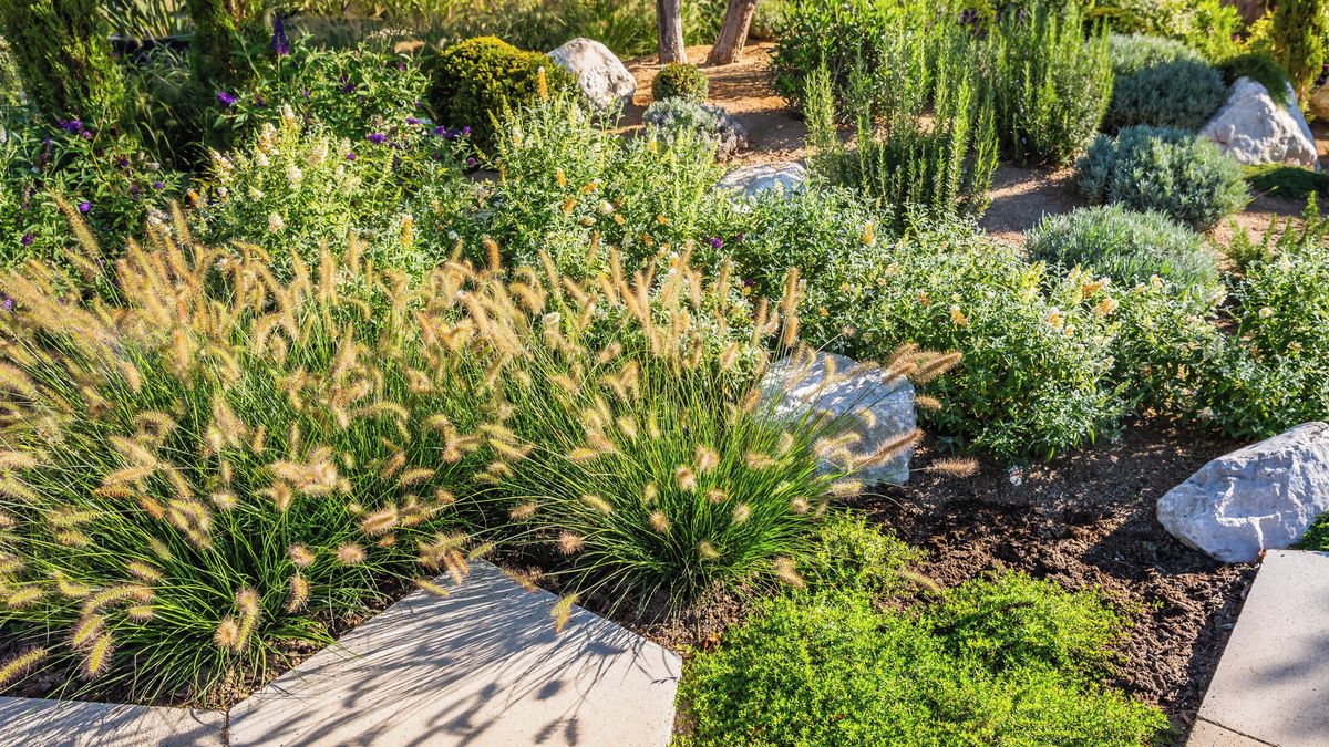 Zahrada s minimální spotřebou vody plná kvetoucích suchomilných rostlin