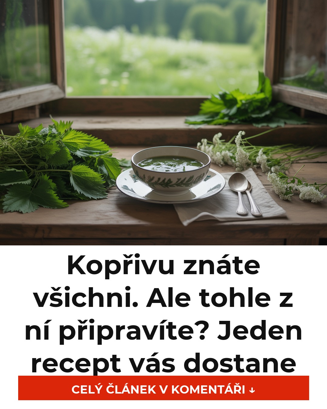 Kopřivu znáte všichni. Ale tohle z ní připravíte? Jeden recept vás dostane