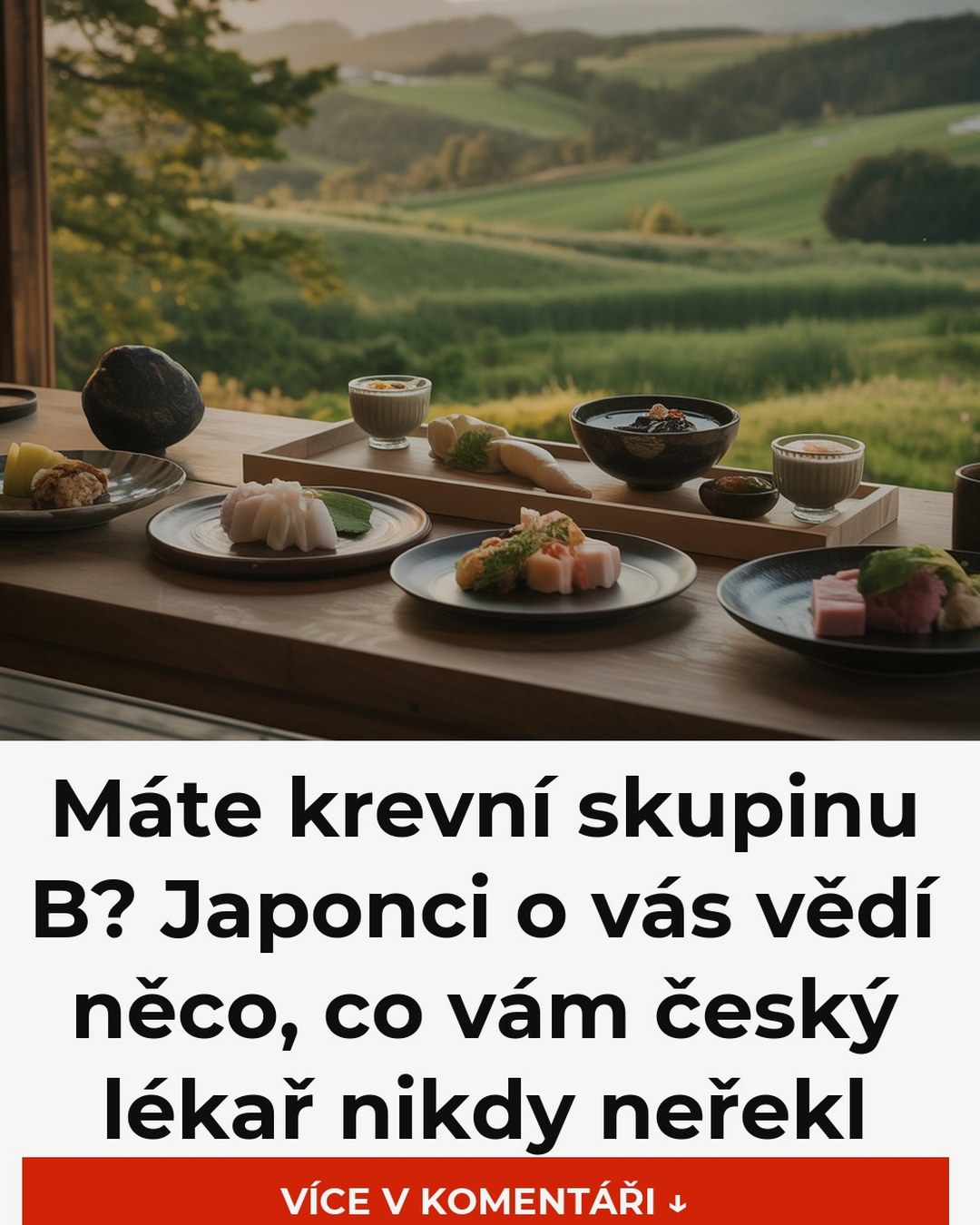 Máte krevní skupinu B? Japonci o vás vědí něco, co vám český lékař nikdy neřekl
