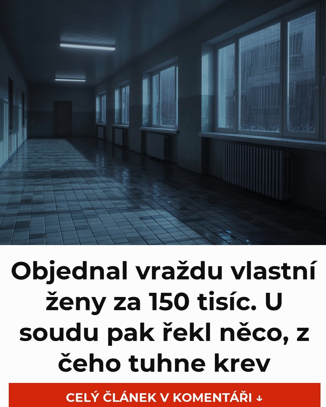 Objednal vraždu vlastní ženy za 150 tisíc. U soudu pak řekl něco, z čeho tuhne krev