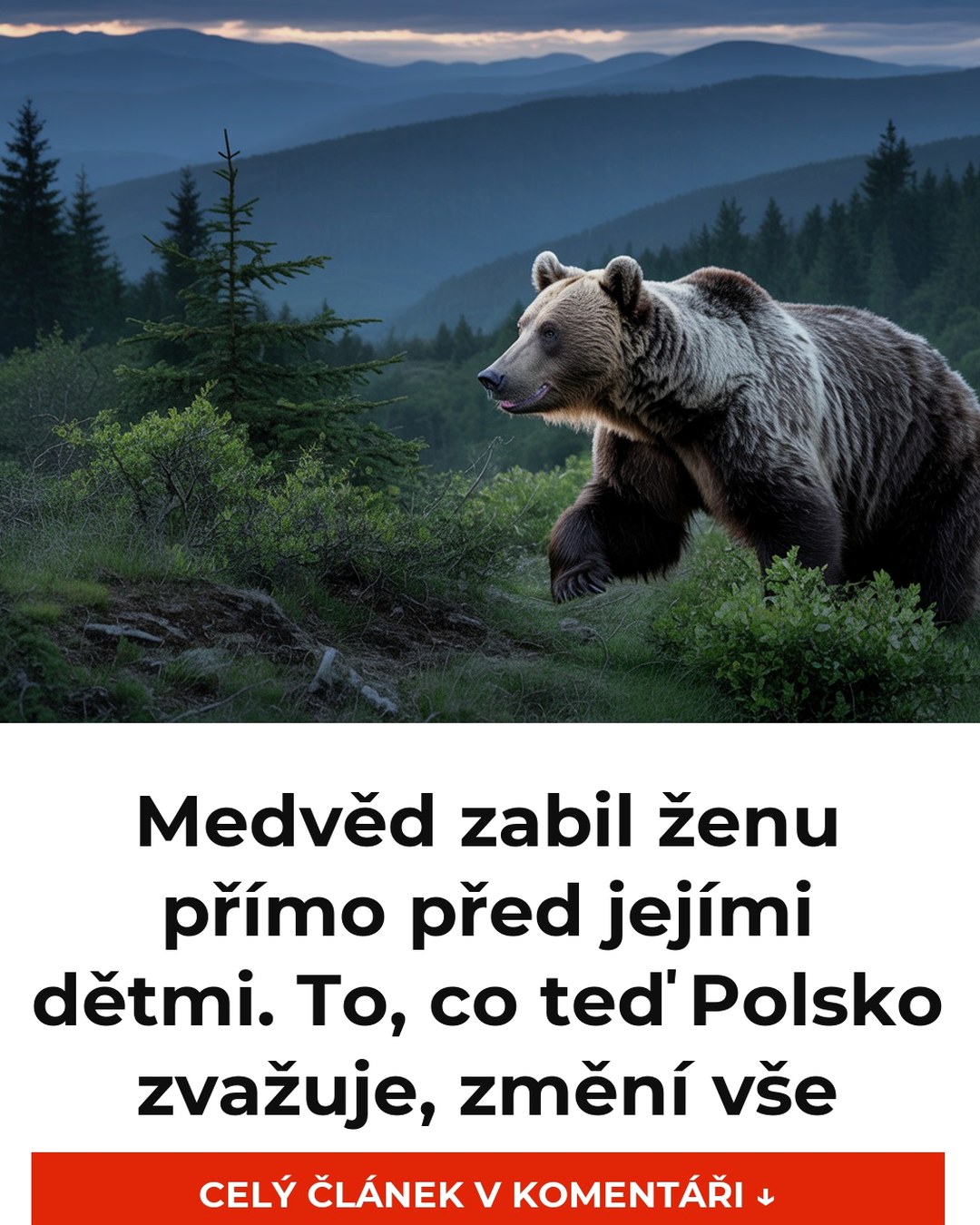 Medvěd zabil ženu přímo před jejími dětmi. To, co teď Polsko zvažuje, změní vše