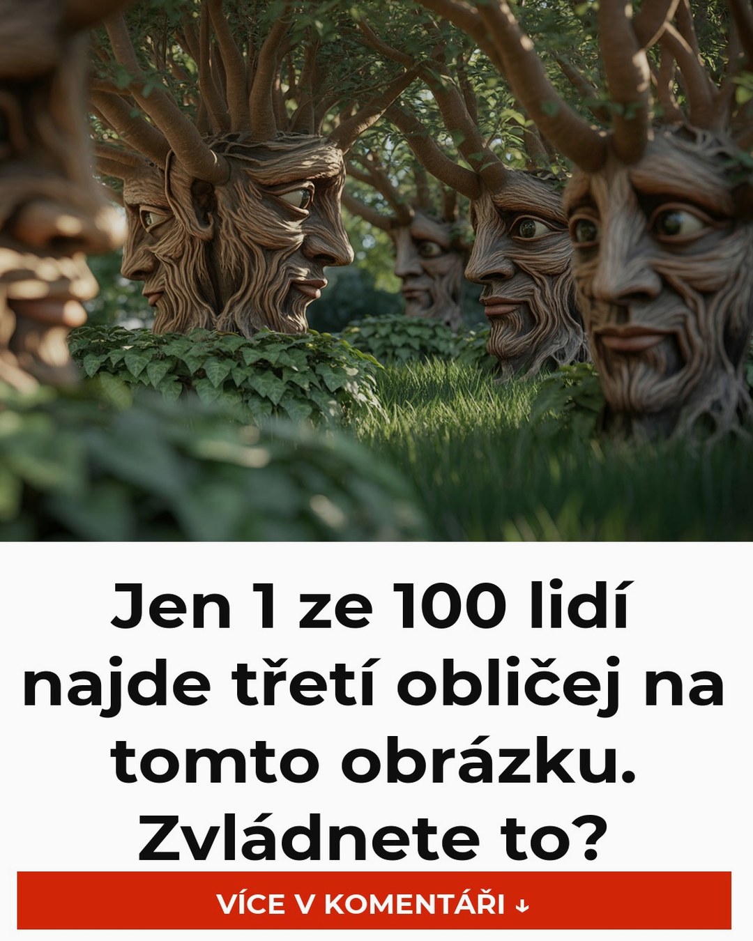 Jen 1 ze 100 lidí najde třetí obličej na tomto obrázku. Zvládnete to?