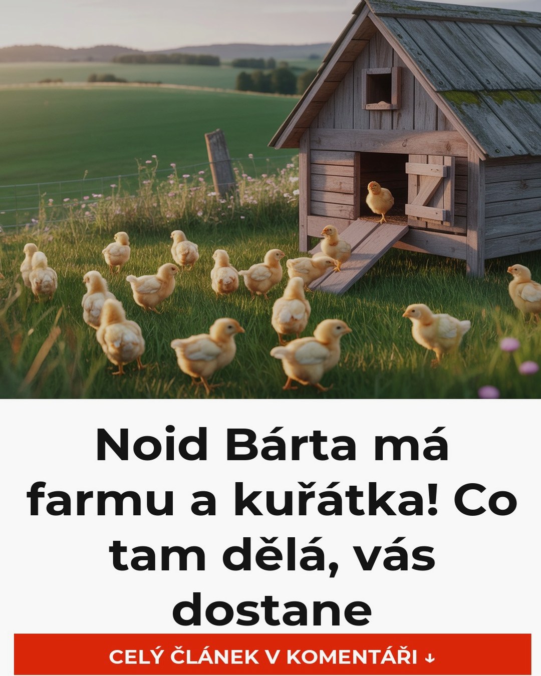 Noid Bárta má farmu a kuřátka! Co tam dělá, vás dostane