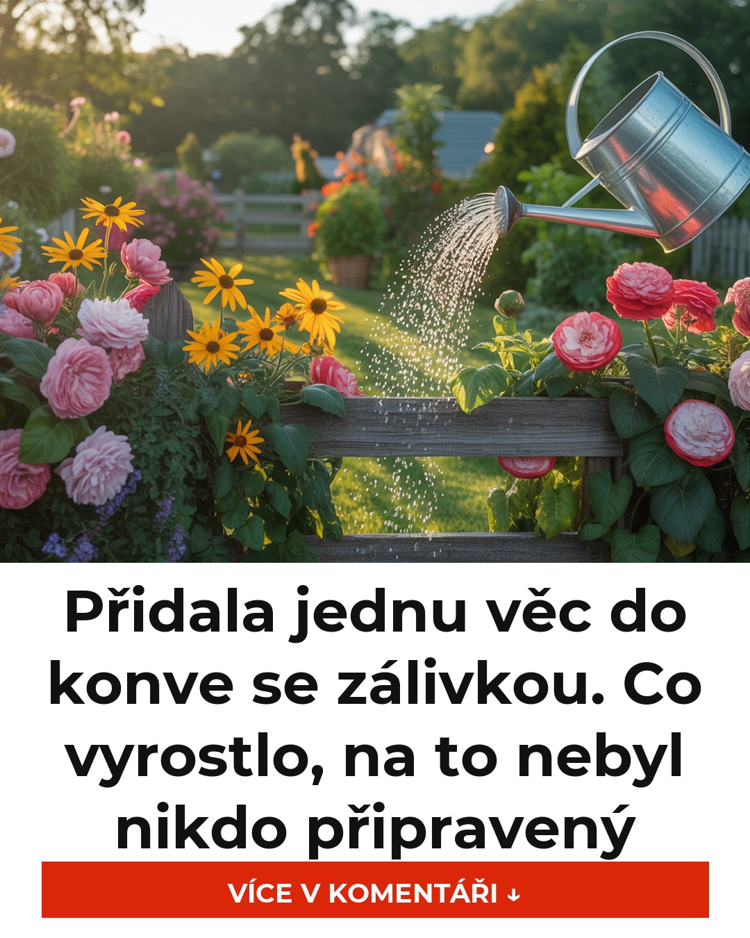 Přidala jednu věc do konve se zálivkou. Co vyrostlo, na to nebyl nikdo připravený