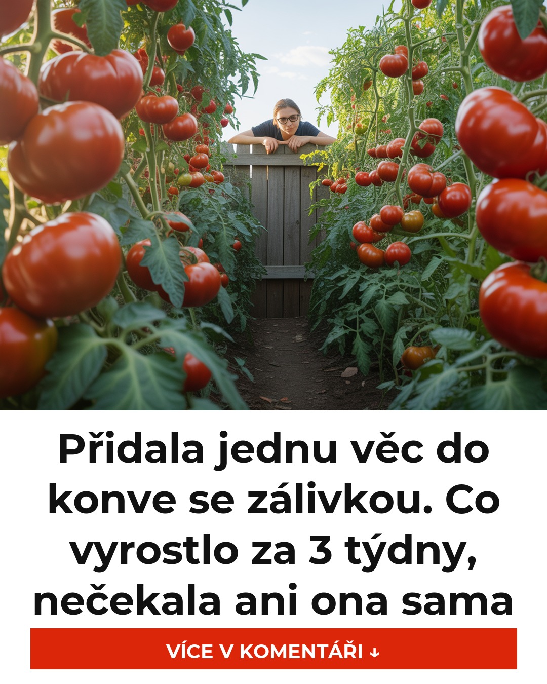Přidala jednu věc do konve se zálivkou. Co vyrostlo za 3 týdny, nečekala ani ona sama
