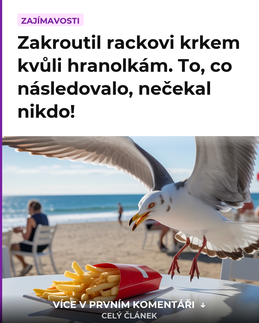 Zakroutil rackovi krkem kvůli hranolkám. To, co následovalo, nečekal nikdo!