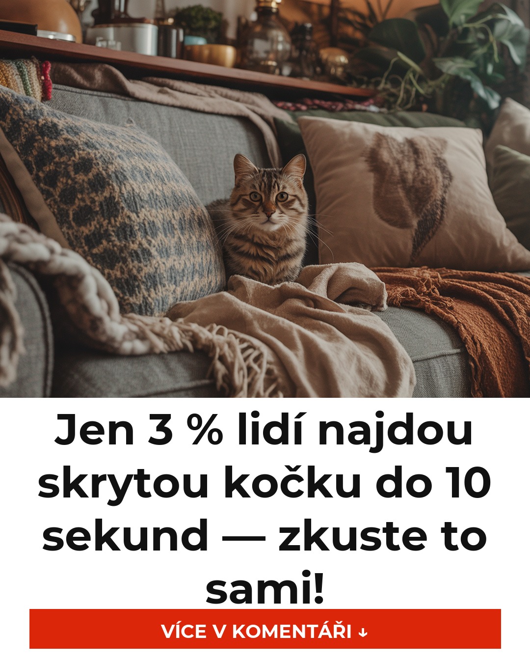Jen 3 % lidí najdou skrytou kočku do 10 sekund — zkuste to sami!