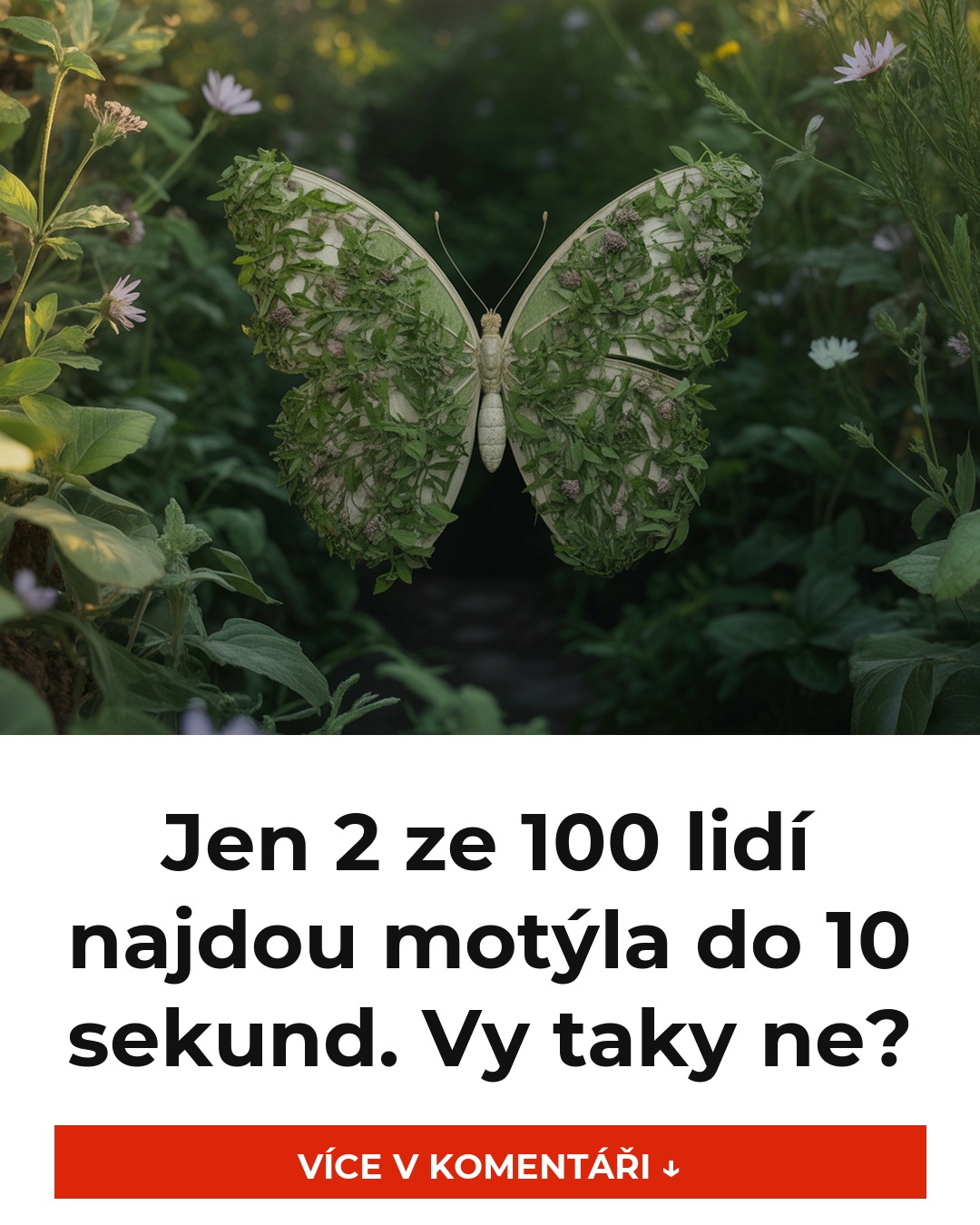 Jen 2 ze 100 lidí najdou motýla do 10 sekund. Vy taky ne?