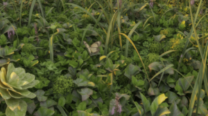 Skrytý motýl na obrázku — 98 % lidí ho nenajde do 10 sekund