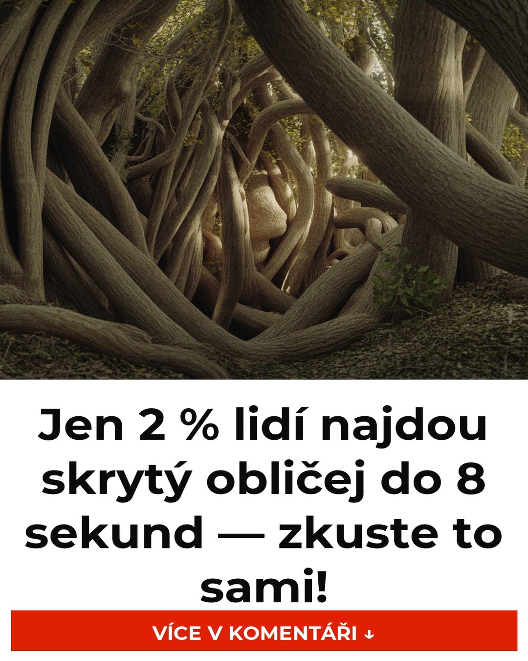 Jen 2 % lidí najdou skrytý obličej do 8 sekund — zkuste to sami!