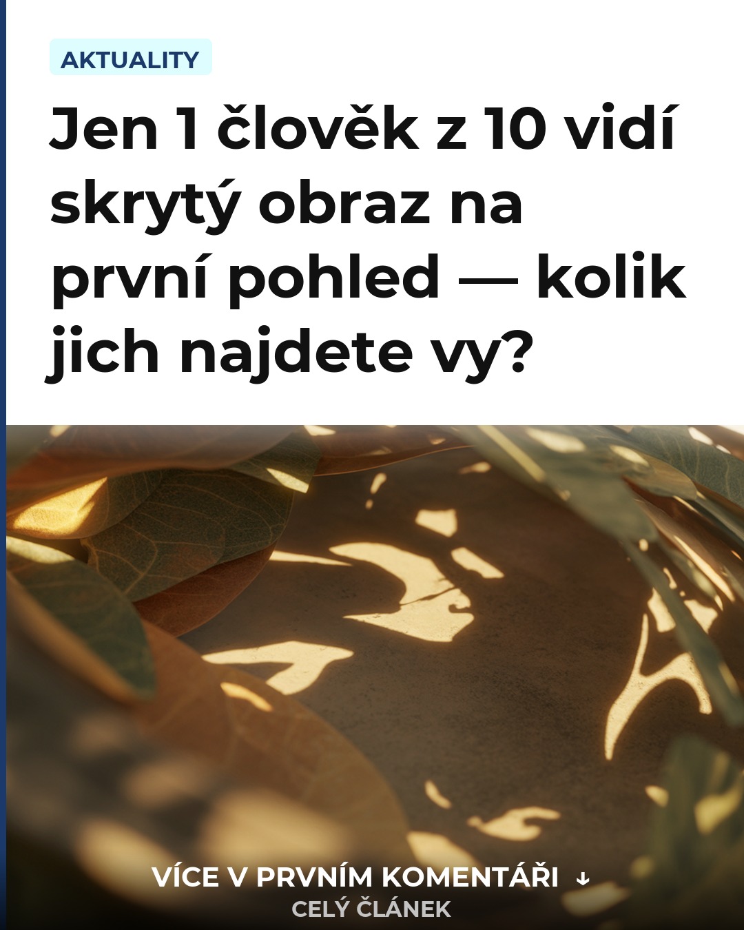 Jen 1 člověk z 10 vidí skrytý obraz na první pohled — kolik jich najdete vy?