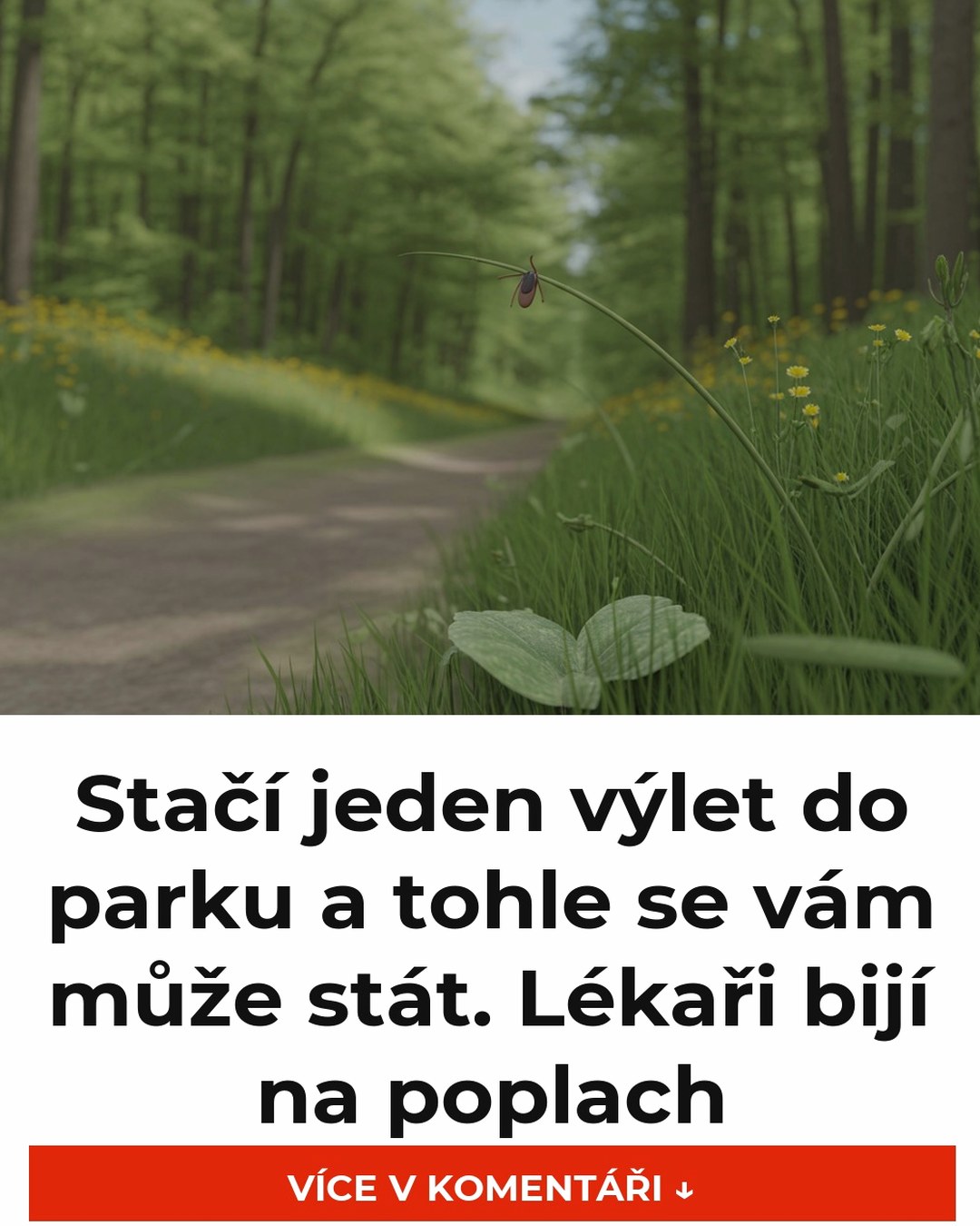 Stačí jeden výlet do parku a tohle se vám může stát. Lékaři bijí na poplach