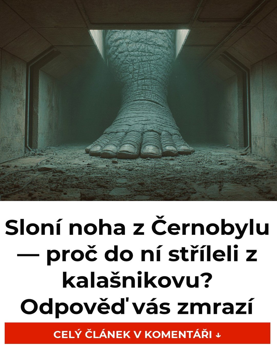 Sloní noha z Černobylu — proč do ní stříleli z kalašnikovu? Odpověď vás zmrazí