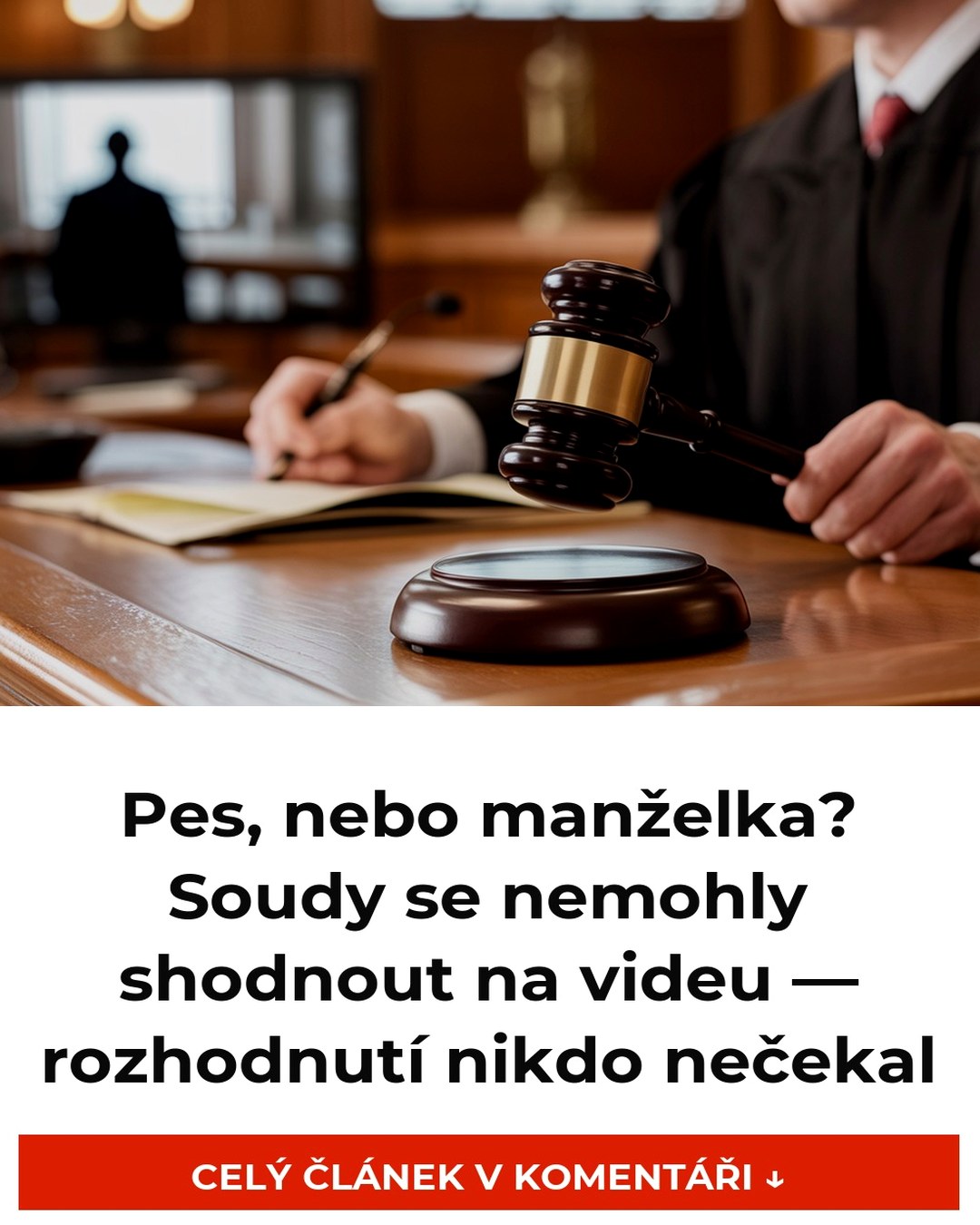 Pes, nebo manželka? Soudy se nemohly shodnout na videu — rozhodnutí nikdo nečekal