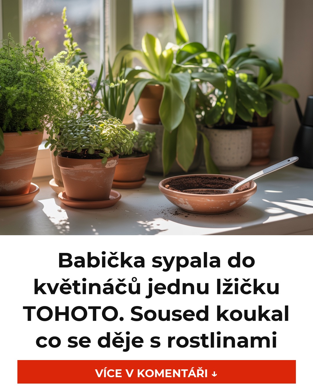 Babička sypala do květináčů jednu lžičku TOHOTO. Soused koukal co se děje s rostlinami