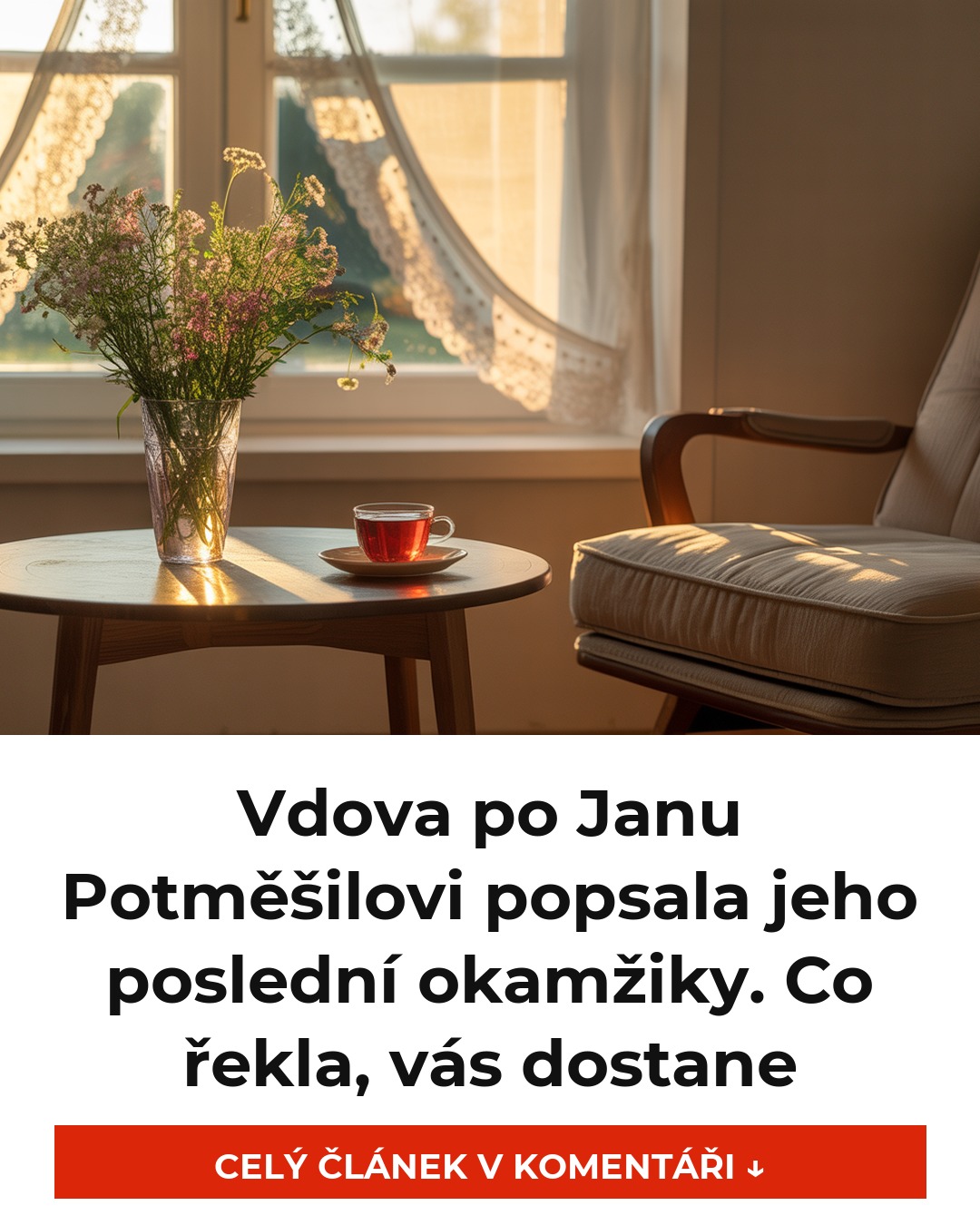 Vdova po Janu Potměšilovi popsala jeho poslední okamžiky. Co řekla, vás dostane