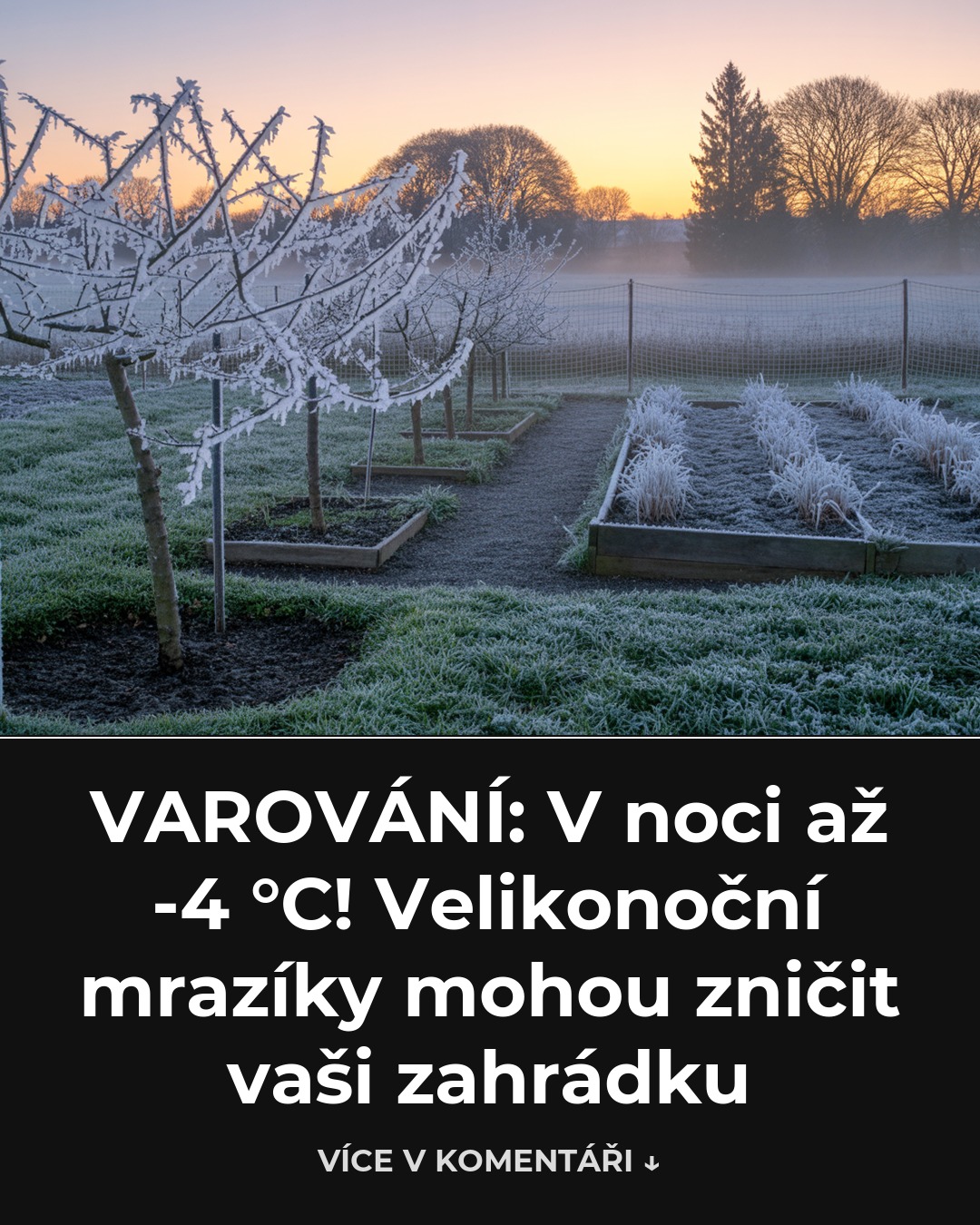 VAROVÁNÍ: V noci až -4 °C! Velikonoční mrazíky mohou zničit vaši zahrádku