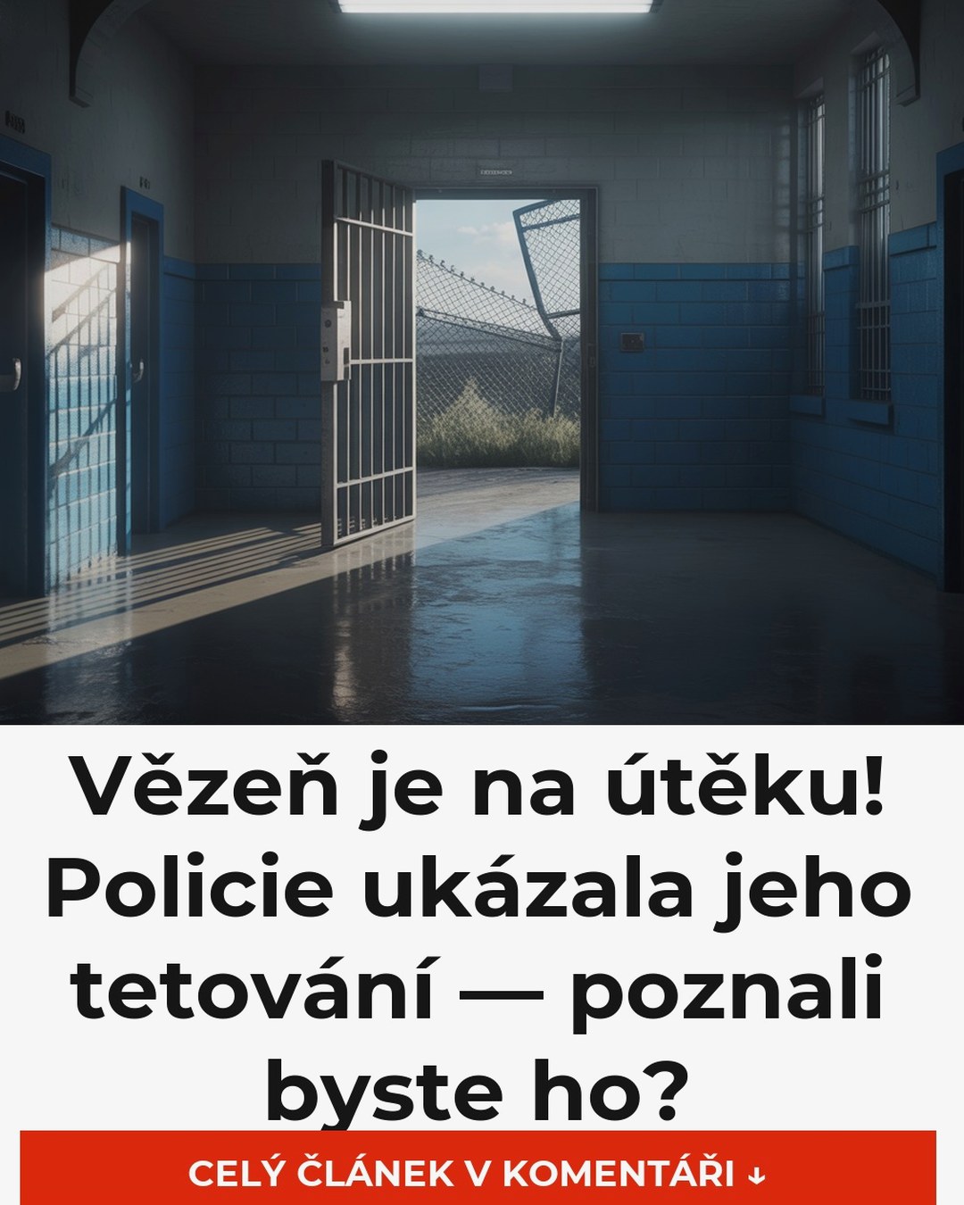 Vězeň je na útěku! Policie ukázala jeho tetování — poznali byste ho?