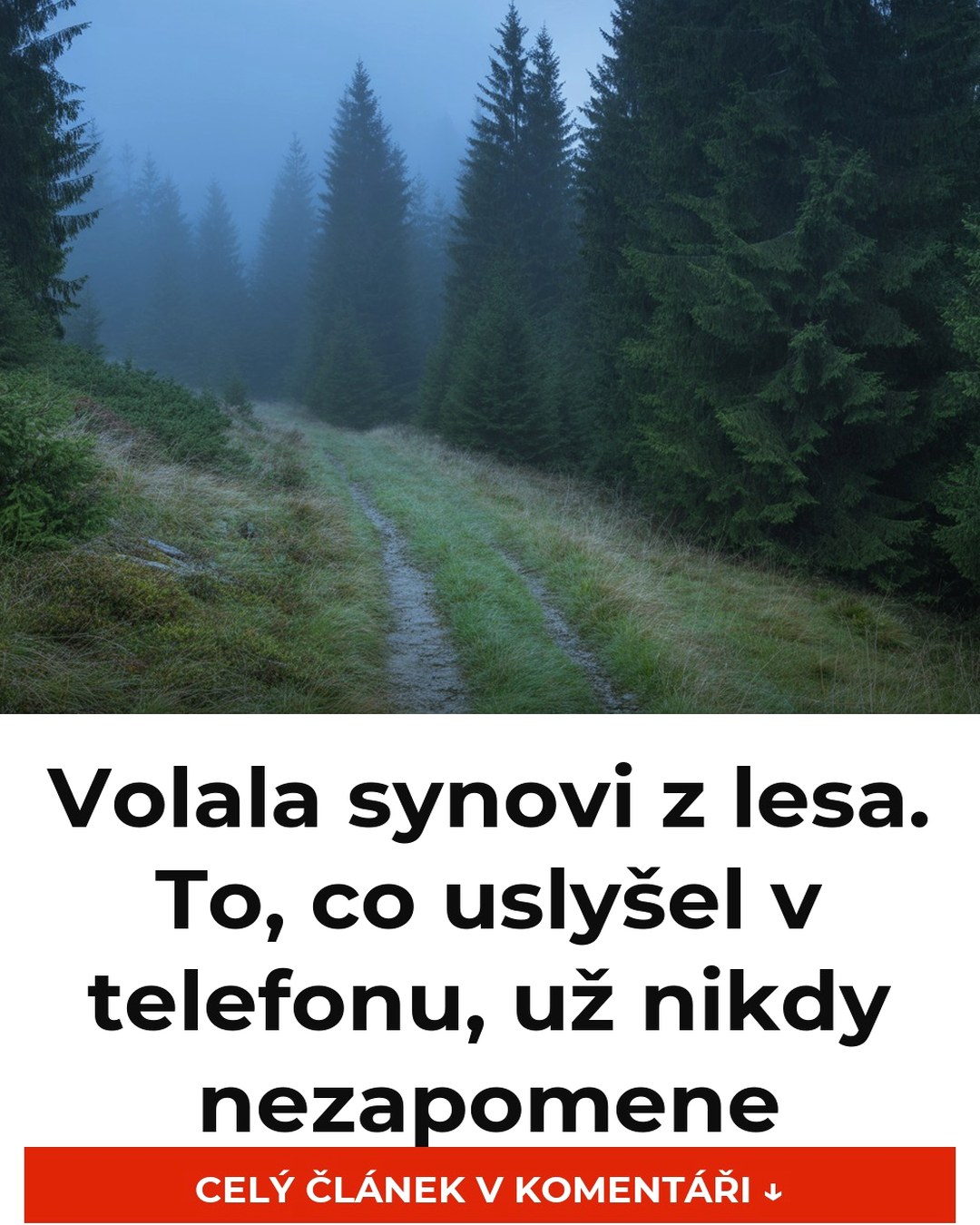 Volala synovi z lesa. To, co uslyšel v telefonu, už nikdy nezapomene