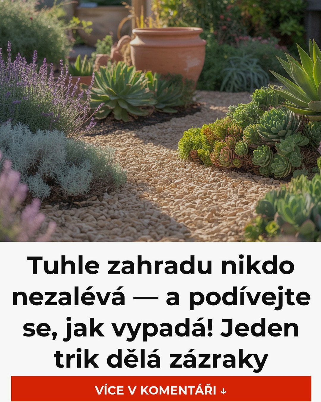 Tuhle zahradu nikdo nezalévá — a podívejte se, jak vypadá! Jeden trik dělá zázraky