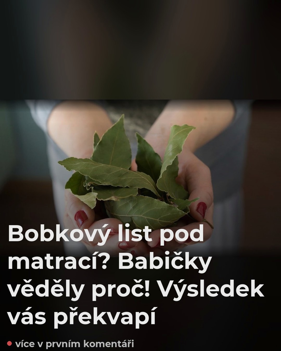 Bobkový list pod matrací? Babičky věděly proč! Výsledek vás překvapí