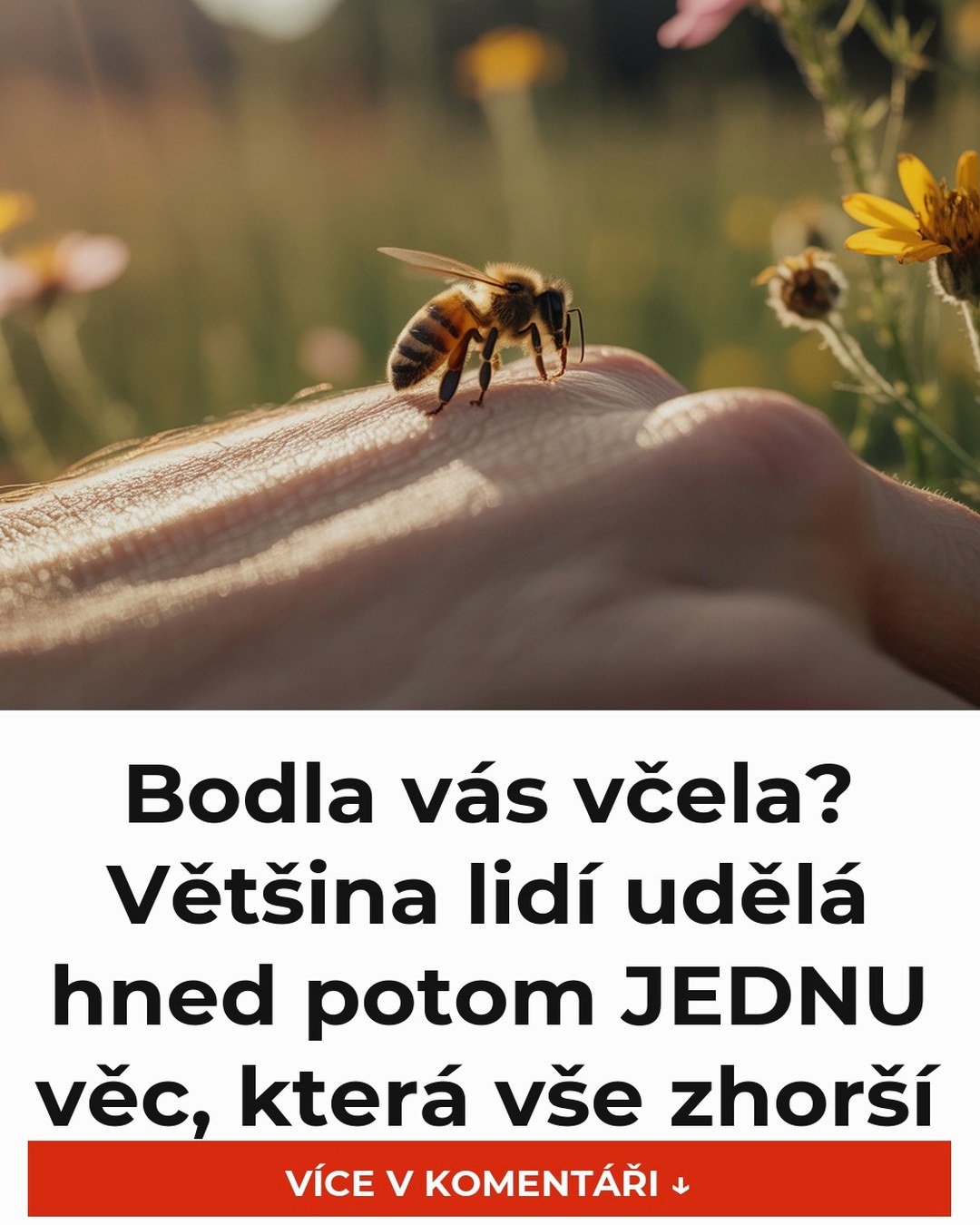 Bodla vás včela? Většina lidí udělá hned potom JEDNU věc, která vše zhorší