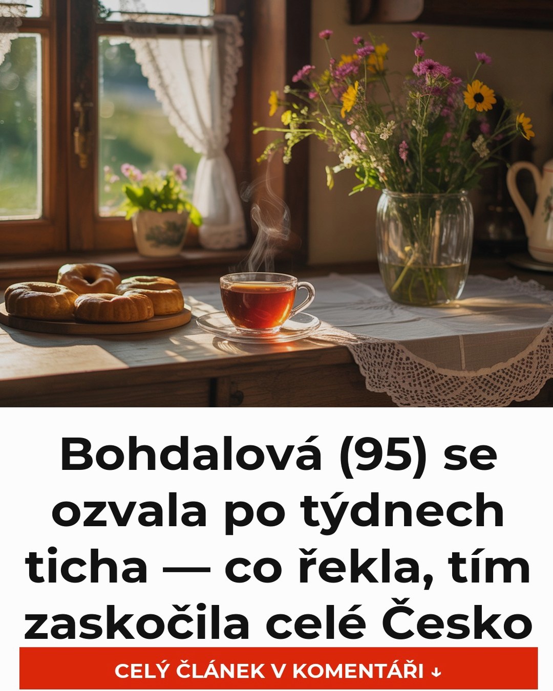 Bohdalová (95) se ozvala po týdnech ticha — co řekla, tím zaskočila celé Česko