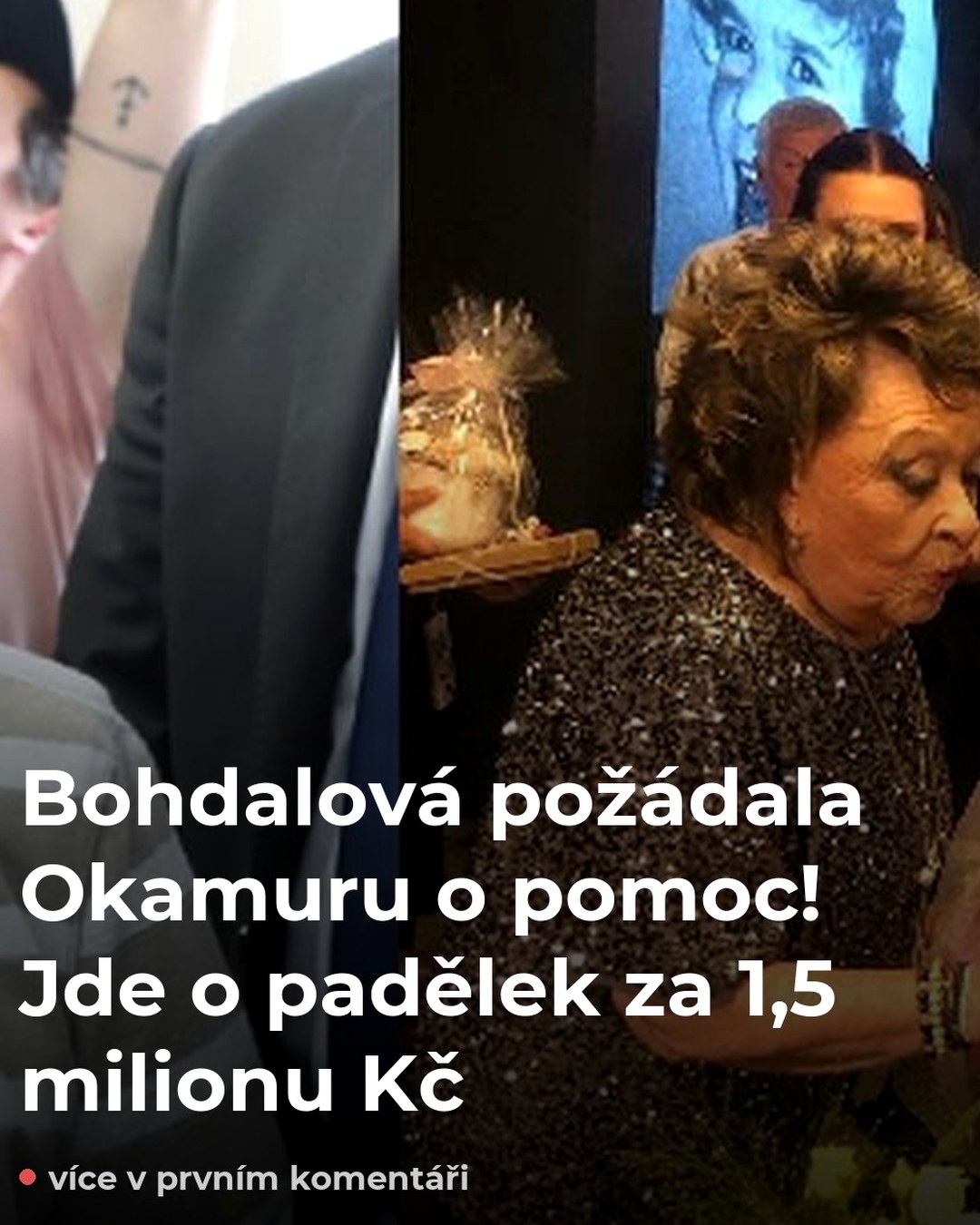 Bohdalová požádala Okamuru o pomoc! Jde o padělek za 1,5 milionu Kč