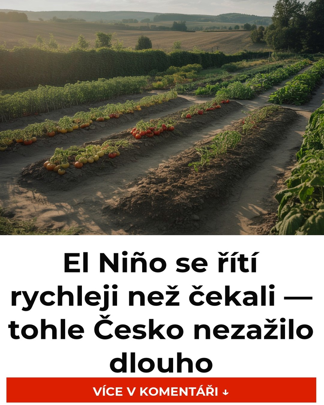 El Niño se řítí rychleji než čekali — tohle Česko nezažilo dlouho